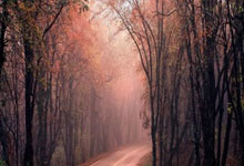 弗洛伦蒂诺打破惯例，为每位皇马球员额外发放25.