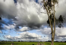 弗洛伦蒂诺打破惯例,为每位皇马球员额外发放25.