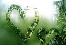 WCBA:山东赤水河酒女篮94-76福建女篮 提前锁定季后赛席位.