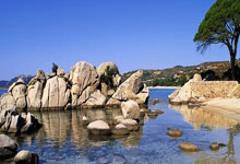 [球之夜]友谊杯：以球会友 共叙友谊.：NG28